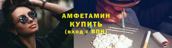 сатива Волоколамск