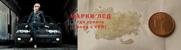 сатива Волоколамск