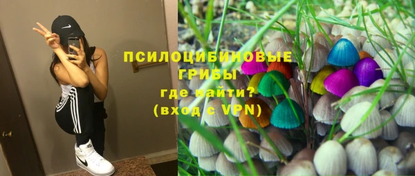 трава Верея