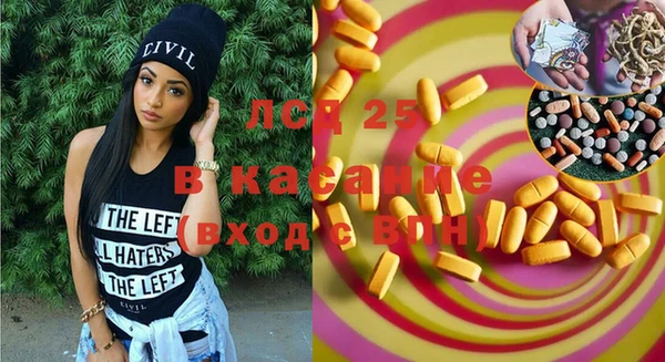 хмурый Пересвет